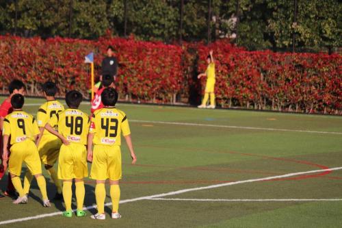 02BCFA11-1F43-4331-B164-12D114FB0ADC