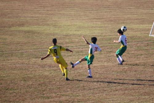 079E717D-E5D1-4C19-8D4E-BD6A64E1CCFF