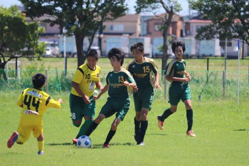 0E690A93-1601-4EA4-A5CA-C614539E53EF