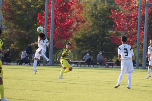 0EBC5478-C977-4C3D-8850-22AE6CD61CA5