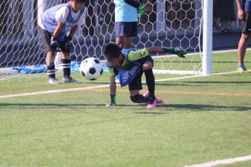 11371ED0-0BBA-405D-BC7B-F6E2C12234DD