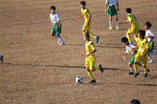 1D8F4F5B-58A6-4A21-A26F-2185438A4C4D