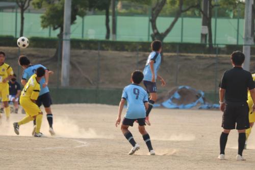 1E26A65B-7122-4B94-B736-4C4244E48DF0