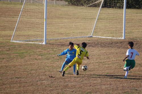 1E8513AE-E25B-45D4-84FC-99BFEB95E615