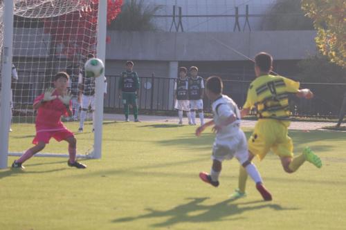 1FBBC238-6098-4D6A-B00A-8C6735329C0C