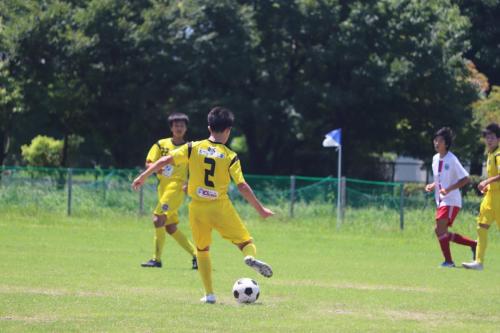 205555E7-5854-430C-A1B9-56F2B401E27D