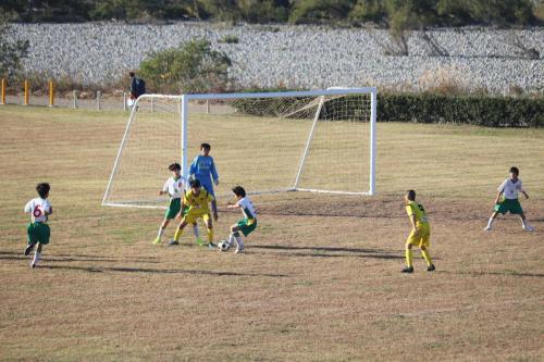 21D29DD7-0449-47C4-805D-EB6085EEBCA2