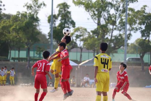 251E7CAA-EE65-4B8E-B97F-C5C57A282CDE