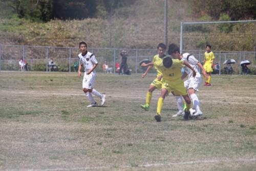 2F4E58E1-4DDA-4511-9A55-3C608BC20B5B