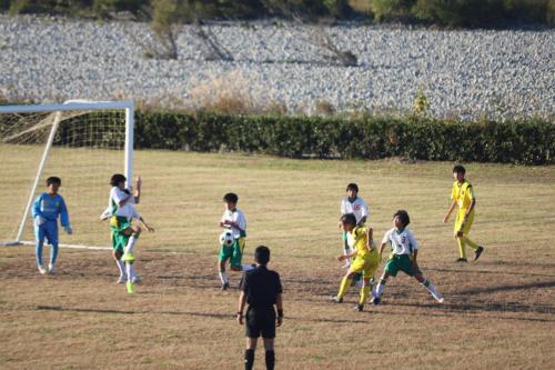 3B7F7A33-3157-44DE-A419-B082496FC3E6