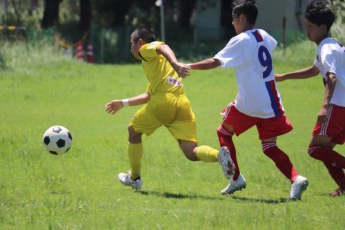 404657E6-CE6D-4167-A9AE-508EE83DECA9