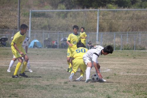 4135E368-D5A5-4DDE-9AD4-40C456359838