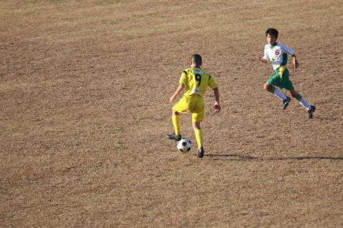 434F567E-BBDD-4B1E-9413-B85C4DB23CE4