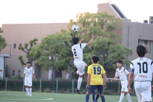 4808883E-DBB2-46CA-8E30-8CF2FE188F65