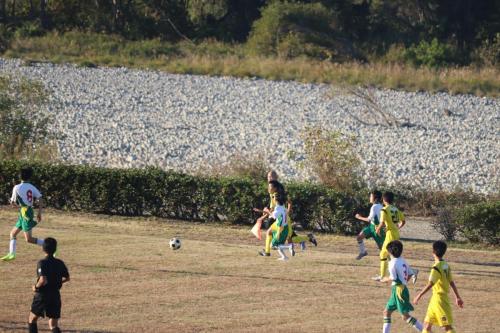 49986651-533D-4DD0-801B-27453A7319F9