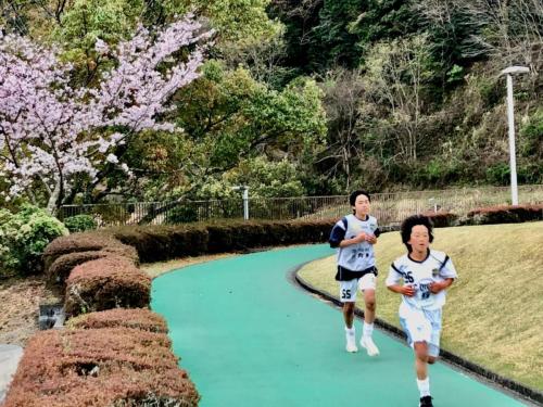 512415EA-33F6-4686-80B0-987E6383A600