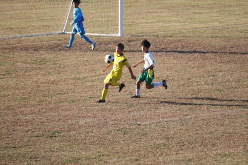 542D7787-77E1-4D6A-ABCC-8393500C177B