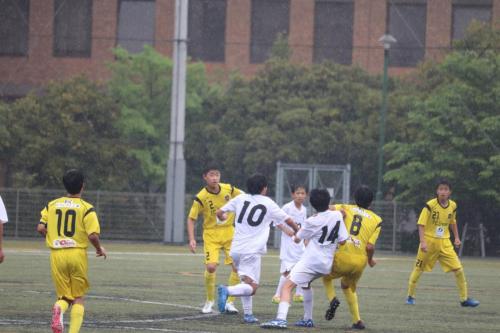 556D2FD4-831A-471D-B11B-593D34C60F23