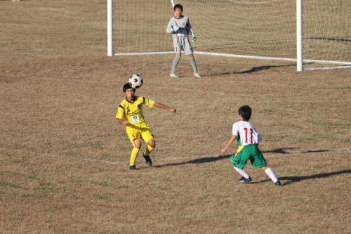 58EE1EDA-6F5B-4546-8AD1-AE6B7CCBA9B7