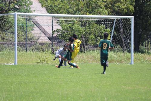 5F70BC0F-3F6A-493B-B3AA-C88F3B1EAA94