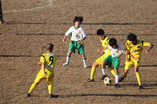 612F6017-5CF4-469C-888D-9A8B85EE32A5