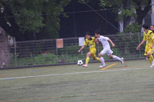 658239D9-DFF9-4E0B-9AA5-22E065B63F67