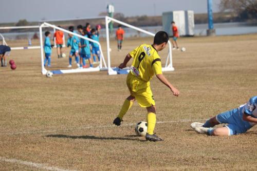 665E74B2-081E-4F83-BECC-69333DA80FF8