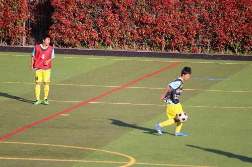 6C4255C0-F165-4723-A491-D895C962A552