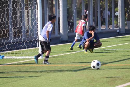 72680BA2-0B29-4419-8926-CFD5BFE00516