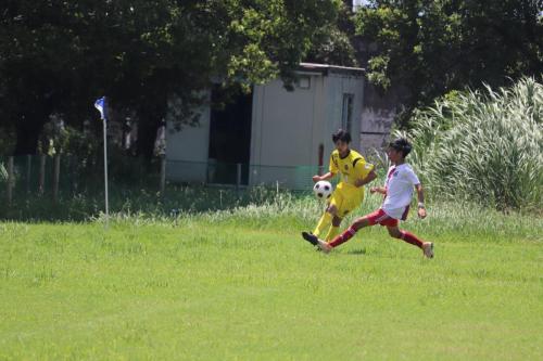 74725F75-F250-4767-AAA0-50984ED63A90