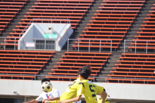 7651AE29-E90C-440C-89AA-82F6081DE3F2