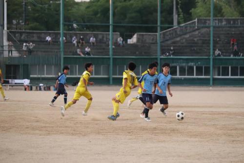 8E3833A8-74FD-4433-9E70-0CDB01DE0A27