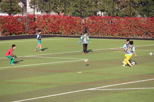 8F7A7198-3AAC-4531-AA6F-C0F502D146B4