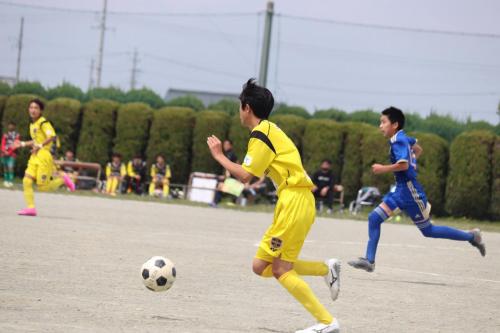 8F95ACA7-7F09-4639-8374-23070CD11508