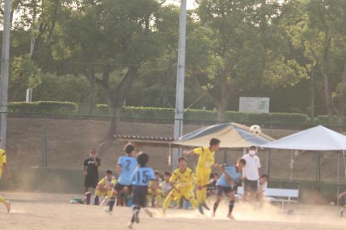 8FDC3744-B377-42CE-915A-B76711BFFEE8