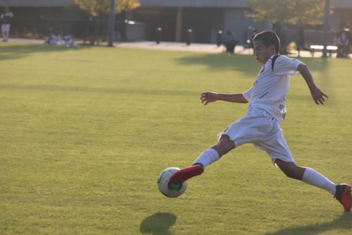 914A307C-47EA-4CF2-ACE6-F6DA5C5856F0