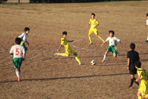 94B880A7-4D78-46A5-BB3C-9E052981C635