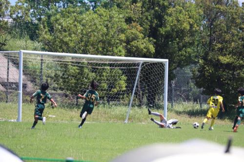 A3997491-1E34-45CA-ACCF-AEEC33300C9D