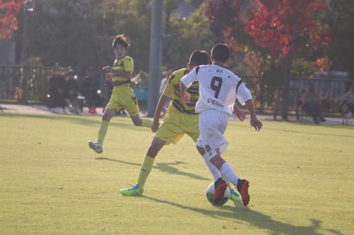 A40473D1-D728-4DEA-A8B3-8C1160604274