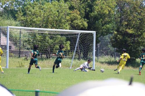 AA546E6F-92C9-4A7A-B2FE-3352FB4F77F3