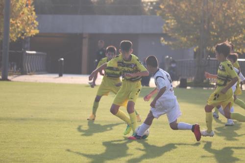 AF7A5F18-768B-487A-A74C-B6C8FA3E2681