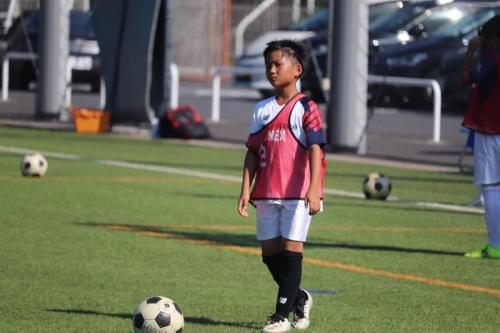 B1FBCB74-E32B-4305-8F33-F7A71699B7EA