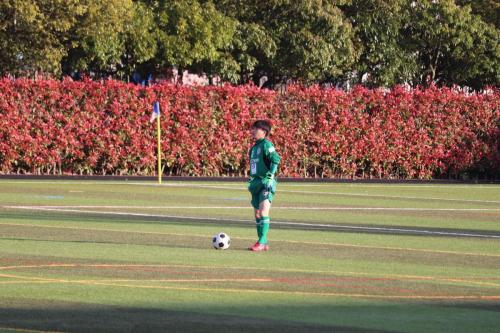 B307F816-3AF9-4082-9FD8-3ECC2FD01BDD