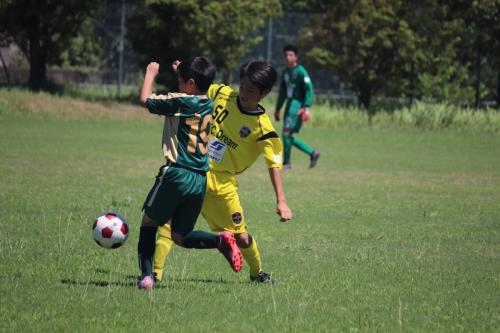 B35BB68D-5403-4183-B599-70CA09638946