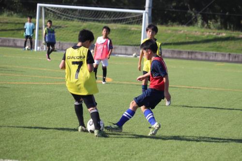 B50C873D-3CD5-4127-AB07-0146160FAAA3