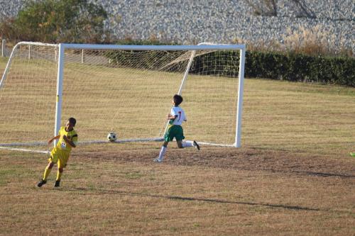 B55ED9A7-5069-42B9-A07A-C36E7257683B