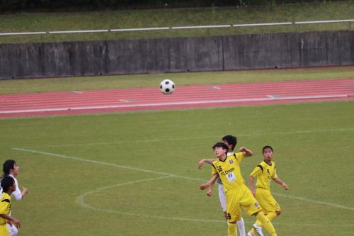 C16E11BA-AC6B-423E-8ACF-678FF0FBBB90