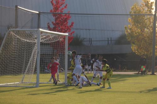 C75C76E0-ED40-4CE9-9B60-0101565F8F24