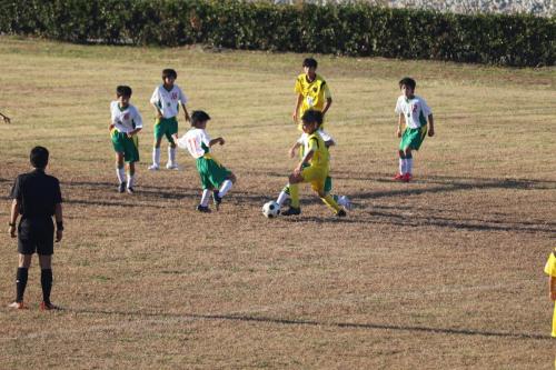 C7D2A692-BA2F-4105-9FC2-69EFD51074C1