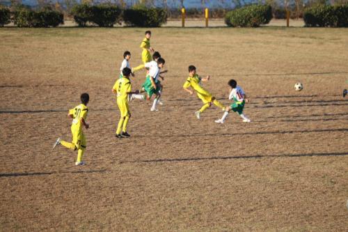 C9A9068E-2C04-4E56-9B21-C6871E918EB5